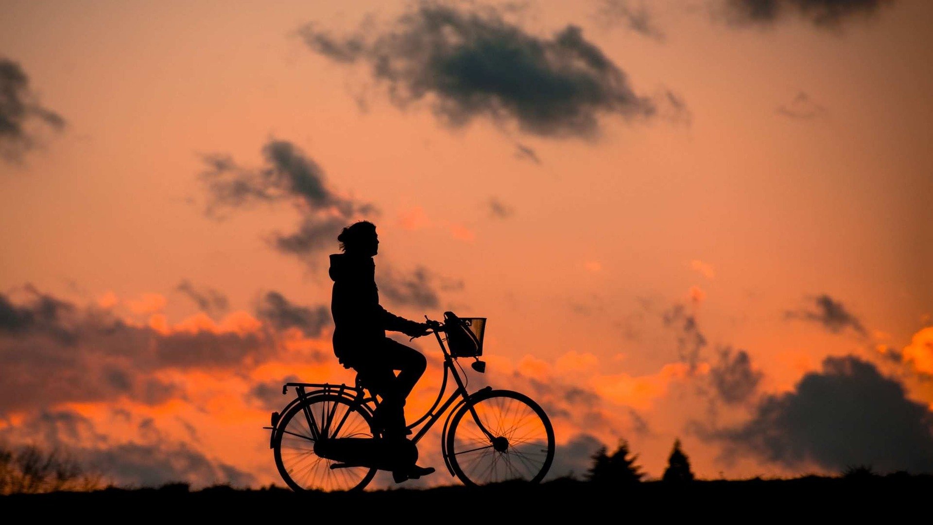 donna bici tramonto.jpg